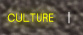 CULTURE