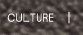 CULTURE