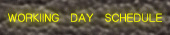 WORKING DAY SCHEDULE