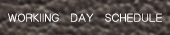 WORKING DAY SCHEDULE