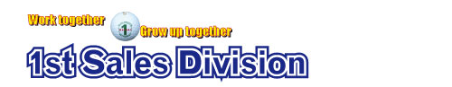 1st Sales Division